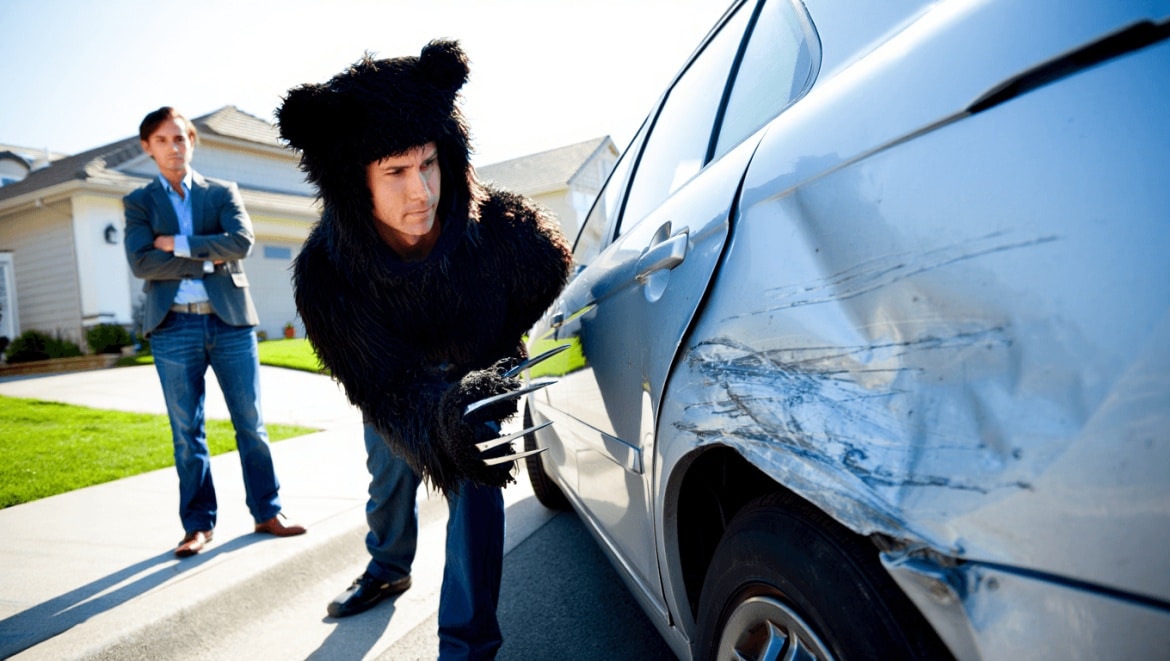 Il évoque une attaque d'ours sur sa voiture pour toucher l'assurance (c'était lui dans un costume de grizzly)