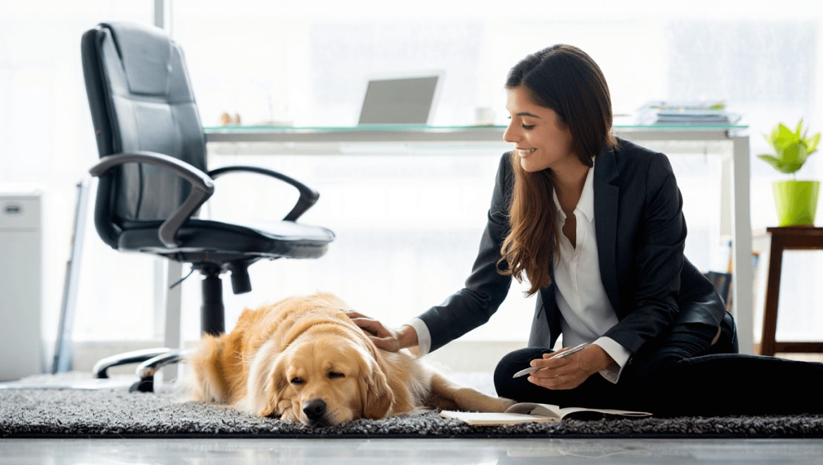 Animaux au bureau: un levier stratégique encore peu connu