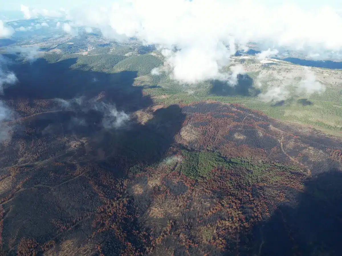Vue aérienne d'une parcelle forestière montrant la topographie et les zones d'accès pour l'évaluation des risques.