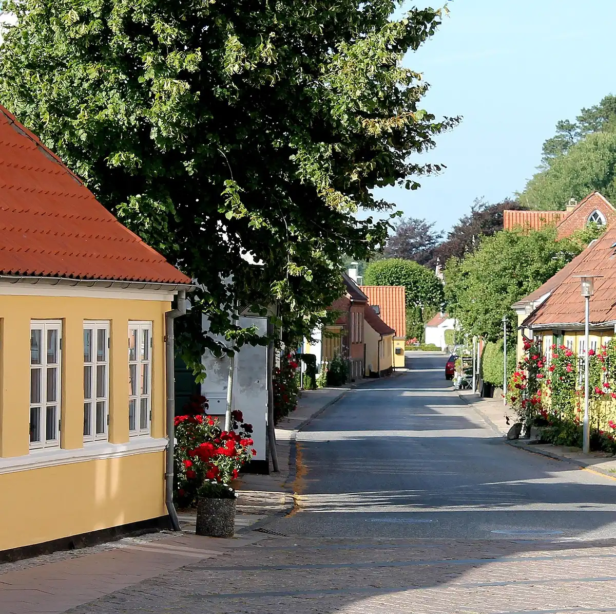 Vue de jour d'une rue de Montecito avec maisons et jardins privés